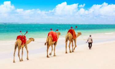 Kenya Beach Extension