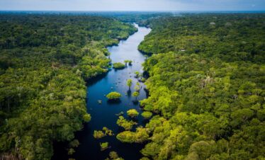 Brazil North Amazona